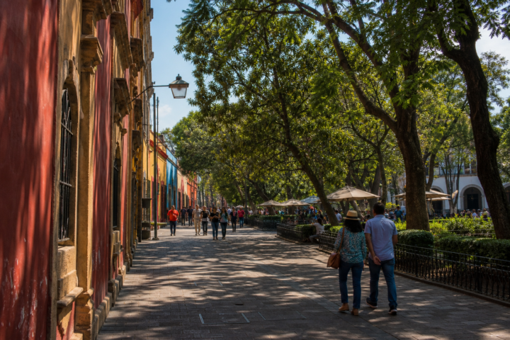 Plaza arbolada de Coyoacán con fachadas históricas y visitantes durante el fin de semana.