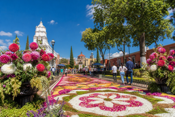 Arreglos de dalias y tapete floral en una plaza de Huamantla, Tlaxcala