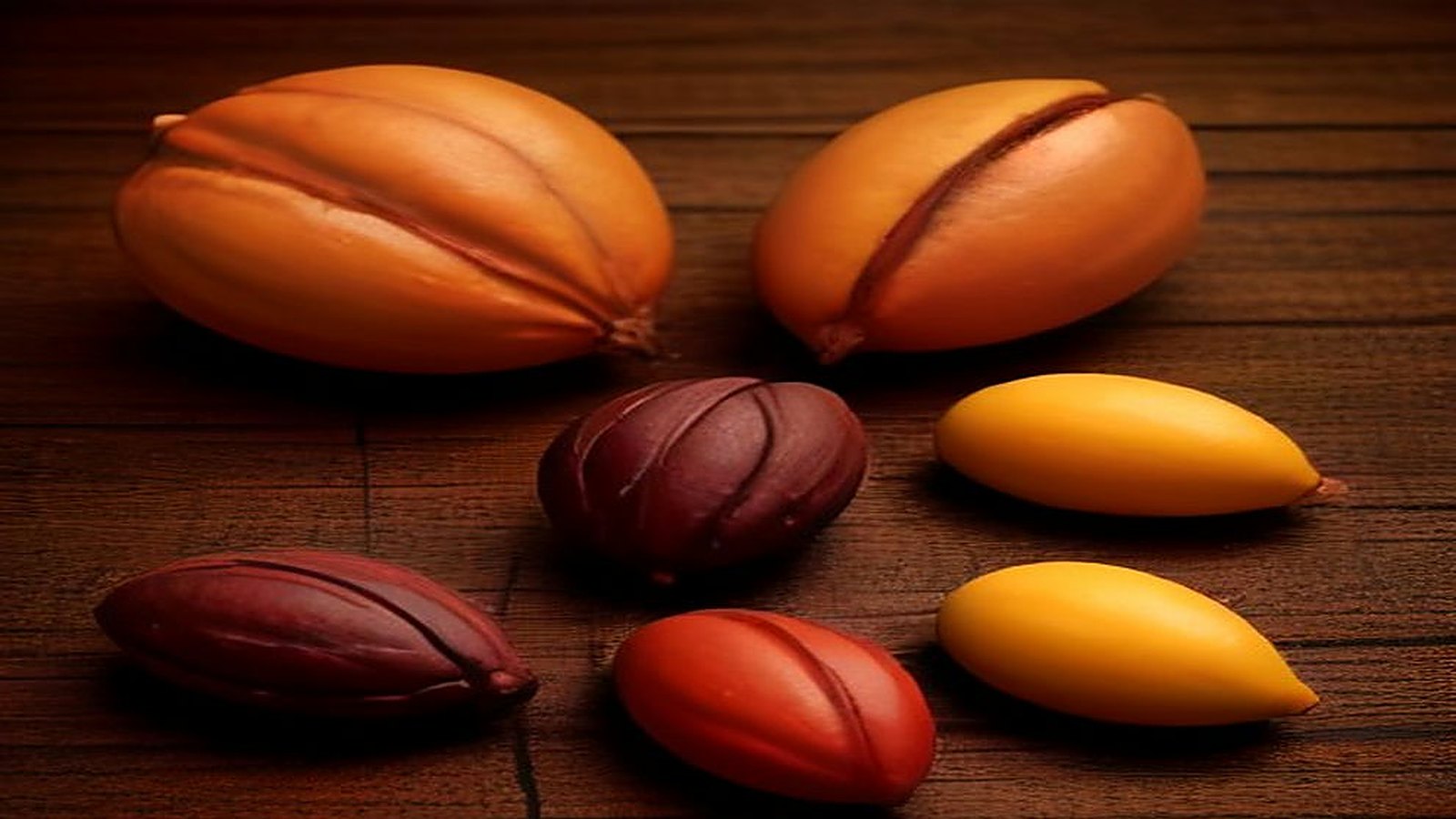 Mazorcas de cacao amarillas, naranjas y rojizas acomodadas sobre una mesa de madera oscura con iluminación cálida