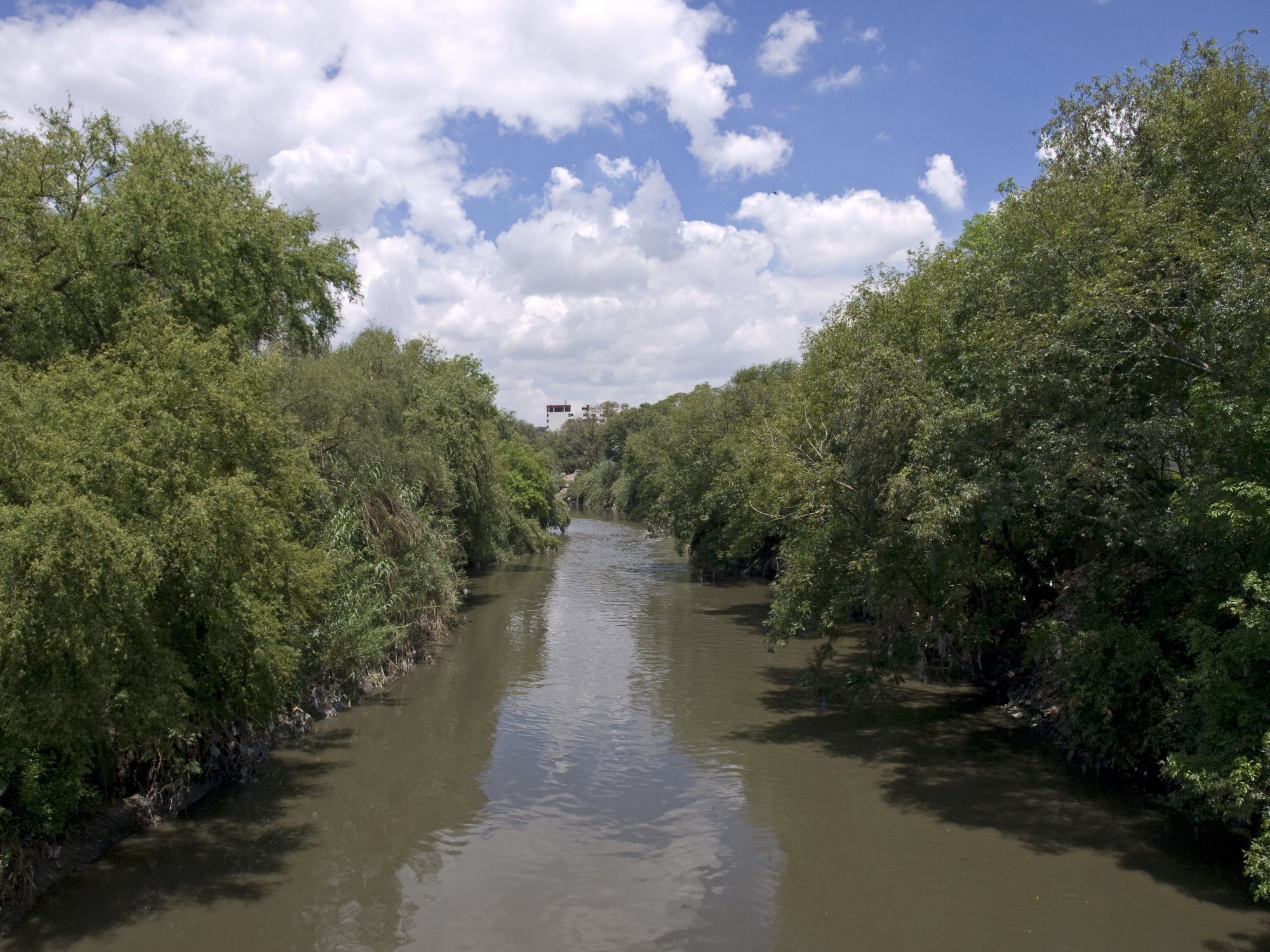 Cauce del río Tula entre árboles a su paso por Tula de Allende, Hidalgo