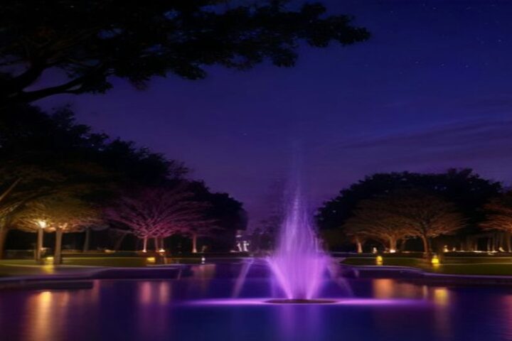 Fuente iluminada de morado en una plaza con árboles durante la noche