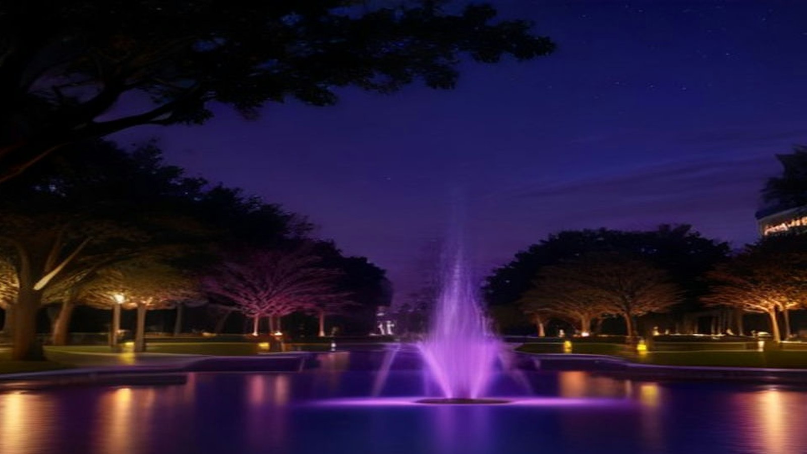 Fuente iluminada de morado en una plaza con árboles durante la noche