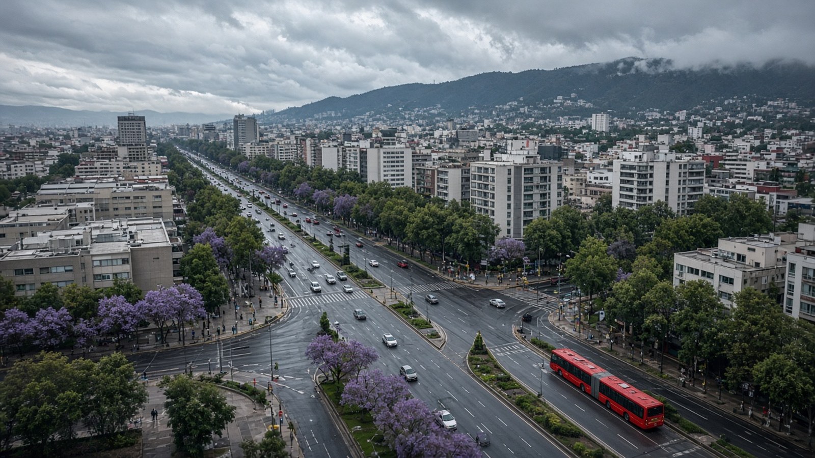 Vista aérea de una amplia avenida arbolada de la Ciudad de México con jacarandas, autos y un autobús rojo articulado en su carril confinado bajo un cielo nublado de lluvia